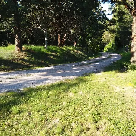 Appartamento Vellaneta