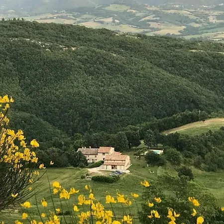Vellaneta *
